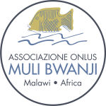 MULI 2020 - logo